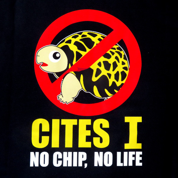 サイテス１Tシャツ